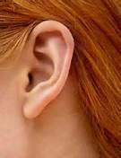 ear